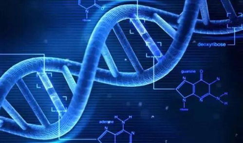 共筑藍海，智創(chuàng)未來 小天使控股集團以網(wǎng)絡技術賦能大健康產(chǎn)業(yè)創(chuàng)新