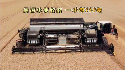 德國研發新型收割機,搭載15.5米寬割臺,一小時收割小麥180噸